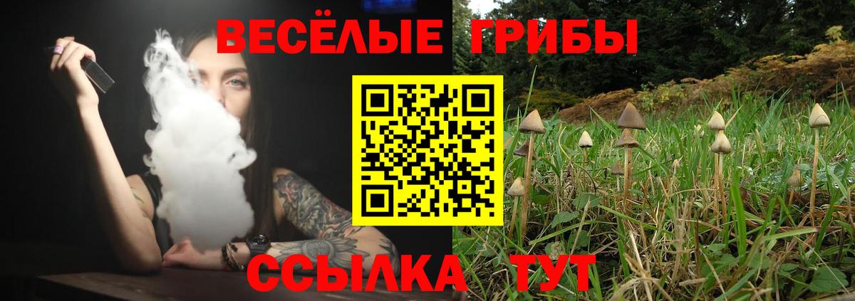 Галлюциногенные грибы MAGIC MUSHROOMS  Вход с VPN  Удомля 
