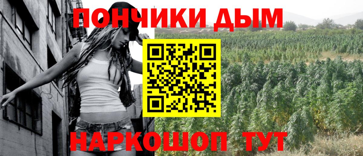 Канабис сатива Удомля
